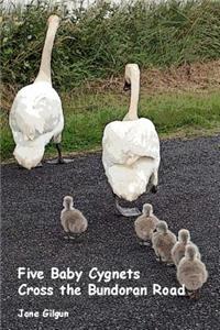 Five Baby Cygnets Cross the Bundoran Road