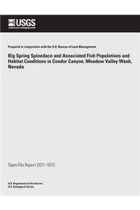 Big Spring Spinedace and Associated Fish Populations and Habitat Conditions in Condor Canyon, Meadow Valley Wash, Nevada