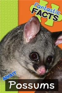 Fantastic Facts about Possums: Illustrated Fun Learning for Kids