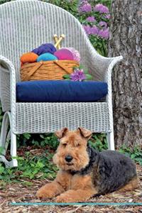 Welsh Terrier Affirmations Workbook Welsh Terrier Presents