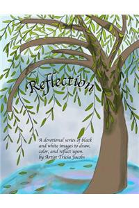 Reflection