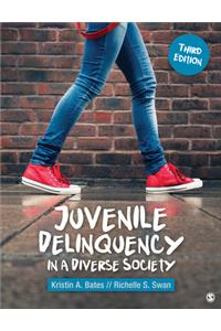 Juvenile Delinquency in a Diverse Society