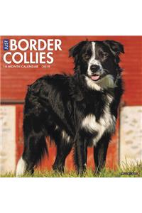 Just Border Collies 2019 Wall Calendar (Dog Breed Calendar)