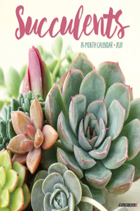 Succulents 2021 Wall Calendar