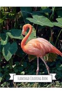 Flamingo Coloring Book