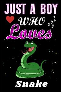 Just a Boy who loves Snake