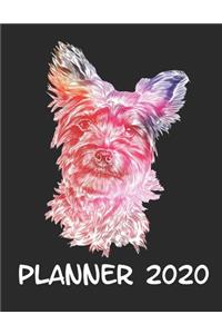 Planner 2020