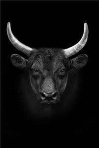 Bull Run Stock Market Inspired 2020 Weekly Monthly Planner