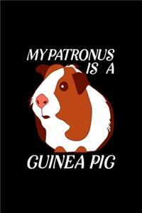 My Patronus Is A Guinea Pig