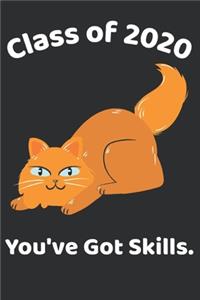 Class of 2020 You've Got Skills.