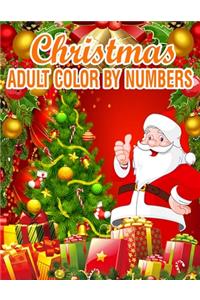 Christmas Adult Color By Numbers