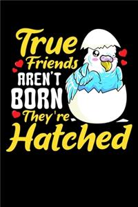 True Friends Aren't Born They're Hatched