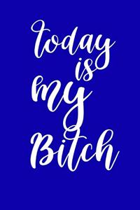 2020 Daily Planner Funny Today Is My Bitch 388 Pages