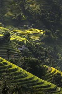 Just Stunning Green Terraced Rice Fields on Hills in Vietnam Journal