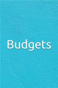 Budgets: A Budget Notebook Planner for Your Everyday Financial Needs