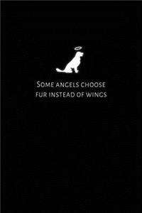 Some Angels Choose Fur Instead of Wings
