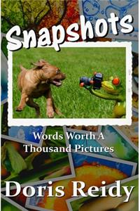 Snapshots