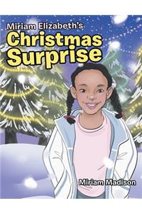 Miriam Elizabeth's Christmas Surprise