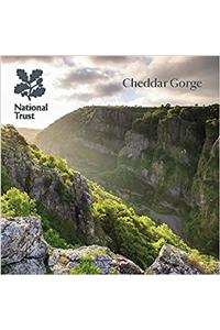 Cheddar Gorge