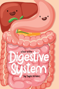 Tour Of The Digestive System