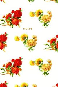 Notes