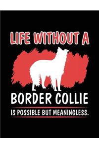 Life Without A Border Collie Is Possible But Meaningless.