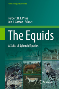 Equids