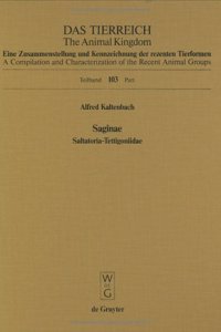 Saginae. Saltatoria-Tettigoniidae