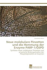 Neue molekulare Pinzetten und die Hemmung der Enzyme PARP-1/G6PD