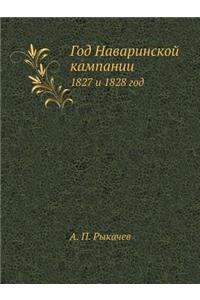 Год Наваринской кампании