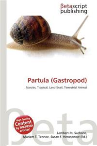 Partula (Gastropod)