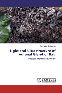Light and Ultrastructure of Adrenal Gland of Bat