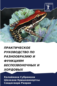 ПРАКТИЧЕСКОЕ РУКОВОДСТВО ПО РАЗНООБРАЗ