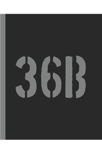 36b