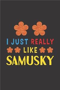 I Just Really Like Samusky