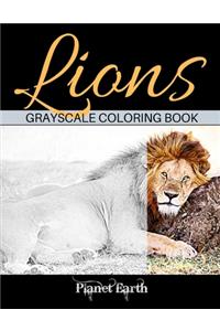 Lions Grayscale Coloring Book