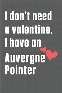 I don't need a valentine, I have an Auvergne Pointer