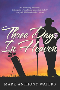 Three Days In Heaven: Large Print Edition