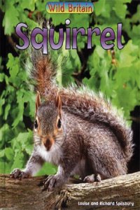 Wild Britain: Squirrel Big Book
