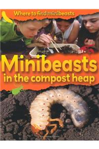 Minibeasts in the Compost Heap