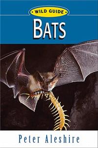 Wild Guide: Bats