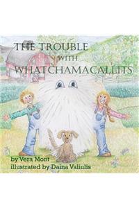 Trouble with Whatchamacallits