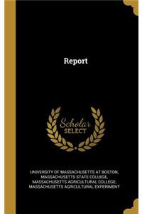 Report