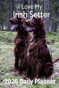 I Love My Irish Setter