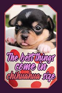 The Best Things Come in Chihuahua Size