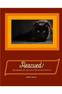 Rescued! My adopted cat's journal of life and love with me.