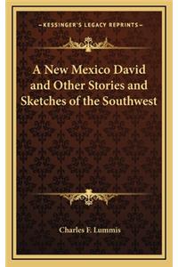 A New Mexico David and Other Stories and Sketches of the Southwest