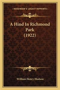 Hind in Richmond Park (1922)