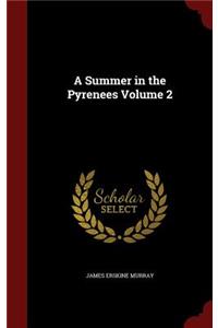 A Summer in the Pyrenees Volume 2
