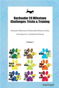 Dachsador 20 Milestone Challenges